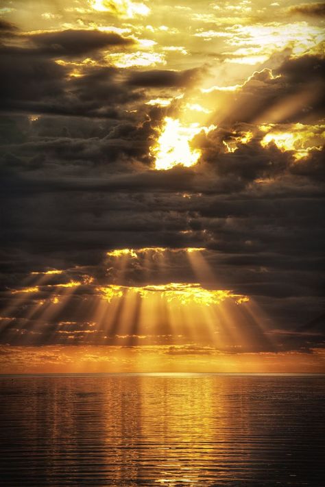 Golden rays moment love via Wild Fauna Love God's Light, Loving Father, Amazing Sunsets, 판타지 아트, Jolie Photo, Alam Yang Indah, Chiaroscuro, Beautiful Sky, Beautiful Sunset