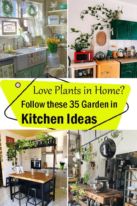 Kitchen Ideas With Plants, Plants For Kitchen Cabinets, House Plants Decor Kitchen, Indoor Kitchen Garden Ideas, Garden Themed Kitchen, Plants In The Kitchen Ideas, Botanical Kitchen Ideas, Kitchen Plant Shelves, Plant Kitchen Aesthetic