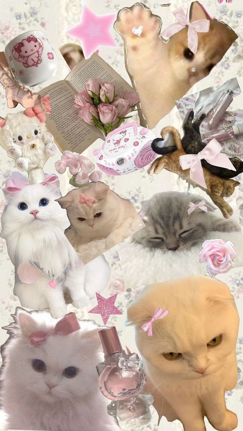 Cute Cat Wallpaper Aesthetic Iphone, Pink Cat Wallpaper Iphone, Iphone Wallpaper Pink Pastels, Pink Lockscreen Iphone, Telegram Wallpaper, Cat Lockscreen, Cool Wallpapers For Men, Dior Wallpaper, Girly Wallpaper