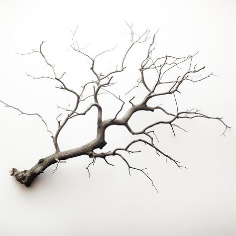 Premium AI Image | tree branches against a white background Tree Branch Silhouette, Photo Tree, Japanese Garden, Premium Photo, Tree Branches, Tattoo Design, High Quality Images, Background Images, White Background