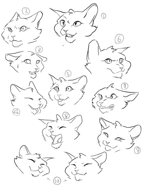 Laughing Cat Drawing, How To Draw Cat Head, Cat Side Profile Drawing Reference, Cat Expressions Drawing, How To Draw Warrior Cats, Warrior Cats Drawing Base, Warrior Cats Base, Cat Pose Reference, Cat Reference Drawing