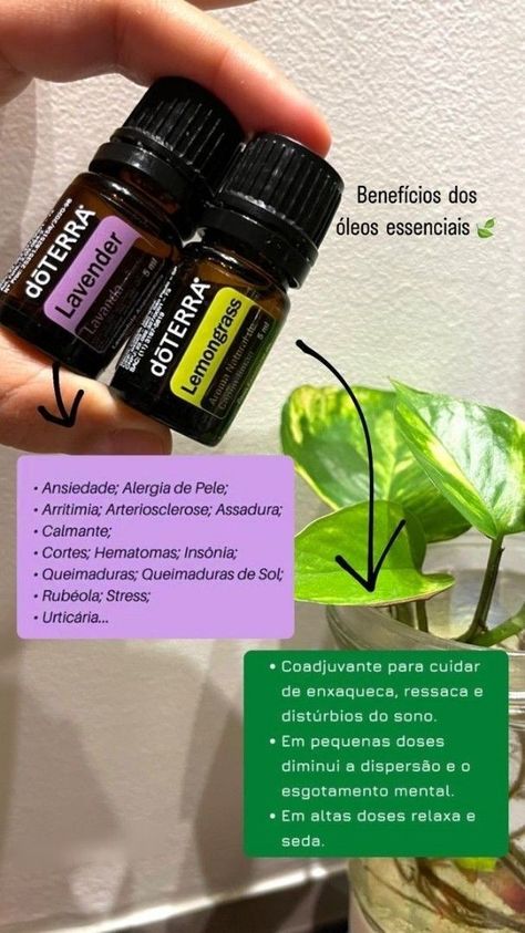 Descubra os benefícios da Aromaterapia e torne-se uma Aromaterapeuta para trabalhar atendendo online ou presencialmente. Clique no site e saiba mais! Siberian Fir, Essential Oil Benefits, Doterra Oils, Salon Design, Lemon Grass, Doterra, Reiki, Essential Oils, Instagram