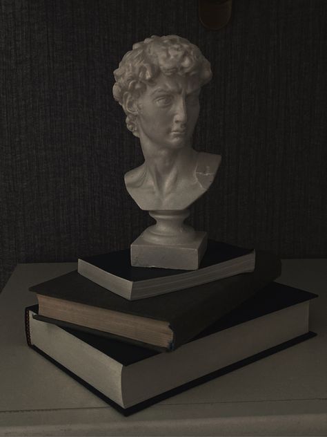 Dark Sculpture Aesthetic, Sculpture Astethic, Dark Academia Bust Statue, Dark Academia Law Aesthetic, Theatrical Academia, Statue Of David Aesthetic, Statue Aesthetic Dark, Classical Academia Aesthetic, David Statue Aesthetic