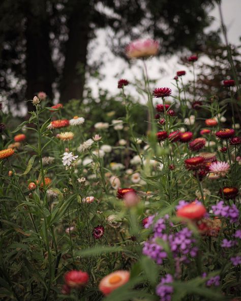 Moving floral Mother’s Day meditation for anyone who needs it today 💞 | Instagram Drying Flowers, Whimsical Furniture, Artist On Instagram, Beautiful Soul, Join Me, Last Night, Flower Designs, Dried Flowers, Link In Bio