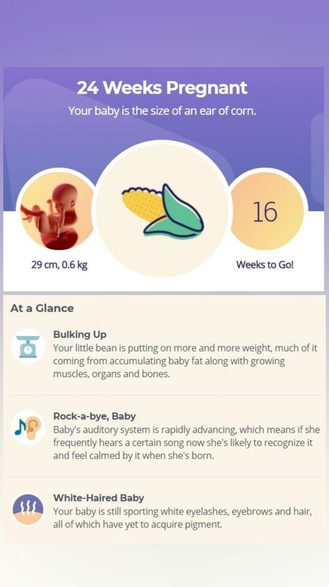 All you need to know about baby development and about changes in your body at 24 week of pregnancy. Go to our website. #24weekpregnancy #pregnancyweekbyweek #pregnant #pregnancy #secondtrimester 24weeks Pregnant, Prenatal Development, Baby Development Milestones, 24 Weeks Pregnant, 16 Weeks Pregnant, Fetal Movement, Pregnancy Week, Development Milestones, Pregnancy Milestones