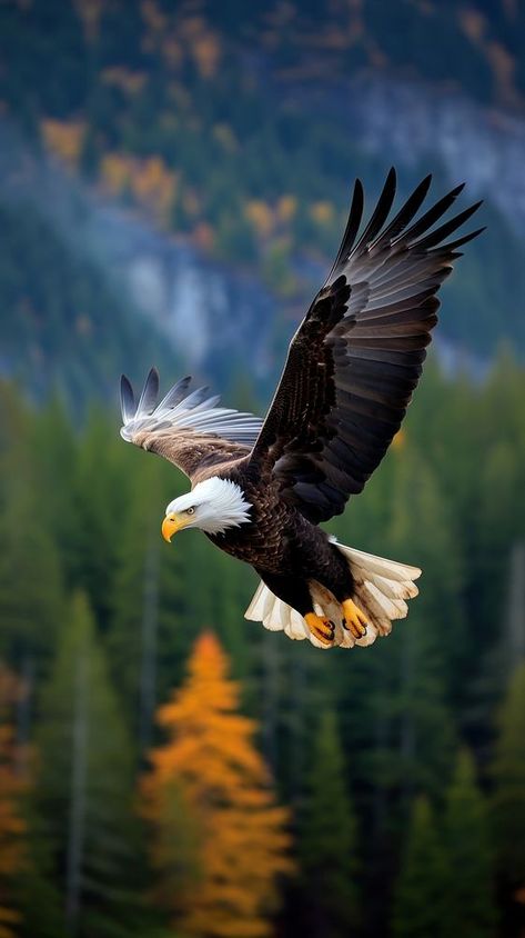 Eagle flying wildlife animal nature. | premium image by rawpixel.com / Ake Image Of Nature, Great Wallpapers Iphone, Nature Wallpaper Animals, Animal Nature Wallpaper, Eagle Reference Photo, Animal Wildlife Photography, Eagle In Flight Photography, Bald Eagle Aesthetic, Flying Eagle Wallpaper