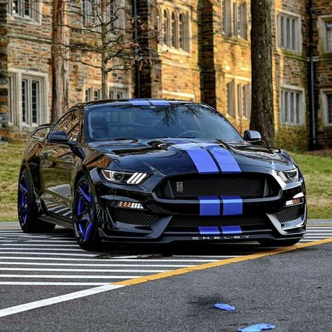 Mustang Car Aesthetic, Mustang Gt 350, Ford Mustang Shelby Gt, Tokyo Drift Cars, Mustang Car, Mustang Gt500, Aesthetic Cool, Ford Mustang Car, Car Organization