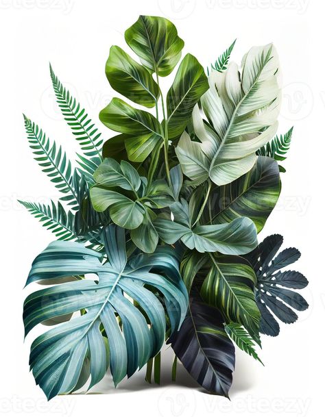 Tropical leaves foliage plant bush floral arrangemen on white background, created with Tropical Hanging Plants, Flower References, Summer 2025, Tree Saw, Heart Tree, Cityscape Photos, Foliage Plants, Nature Backgrounds, Heart With Arrow