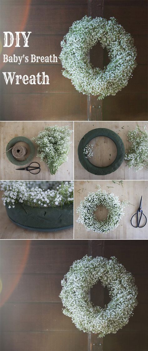 diy baby's breath wedding wreath for decoration ideas Babies Breath, Diy Event, Baby S Breath, Diy And Crafts Sewing, Wedding Wreaths, Craft Wedding, Deco Floral, Baby's Breath, Trendy Wedding