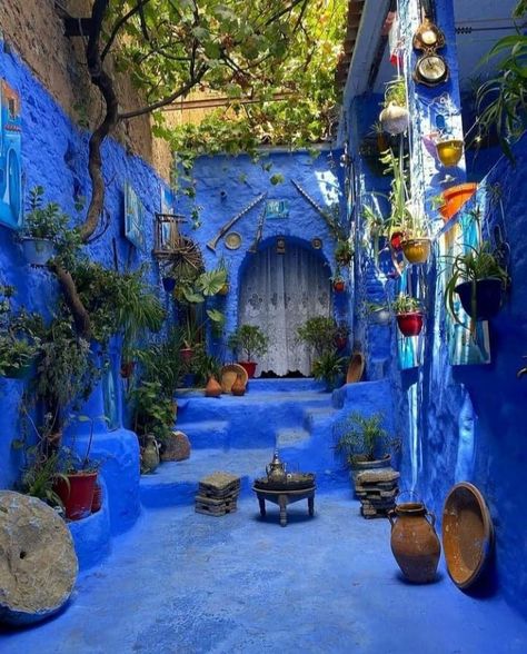 Blue Village Morocco, Blue Potion Aesthetic, The Blue City Morocco, Blue City Morocco, Morocco Photography, Majorelle Blue, Moroccan Garden, Moroccan Houses, Morocco Aesthetic