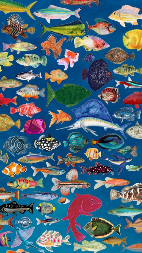 #fish #collage #aesthetic #paintedfish #ocean #sea Fish Collage, American Traditional Tattoo Ideas, Traditional Tattoo Ideas, Cocoppa Wallpaper, 강아지 그림, Keramik Design, American Traditional Tattoo, Jairzinho, Art Collage Wall