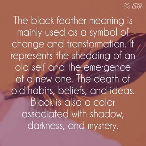 Black Feather Meaning: 9 Symbols Of Inner Strength To Change - Joyce Elliott Feather Symbolism Meaning, Black Feather Meaning, Symbol Of Change, Feather Symbolism, Feather Tattoo Meaning, Feather Meaning, Witchy Tips, Witch Spirituality, Dream Symbols