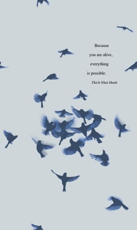 Thich Nhat Hanh, Everything Is Possible, A Quote, The Sky, Birds, Love You, Quotes, Haus