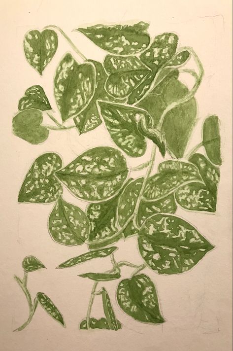 #watercolor #watercolorsketch #akvarel #pothos #houseplants #drawing #silverpothos #watercolorleaves #plantdrawing Pathos Plant Drawing, Pothos Plant Drawing, Houseplants Drawing, Silver Satin Pothos, Pathos Plant, Satin Pothos, Drawing Things, Pothos Plant, Wedding Invitation Inspiration