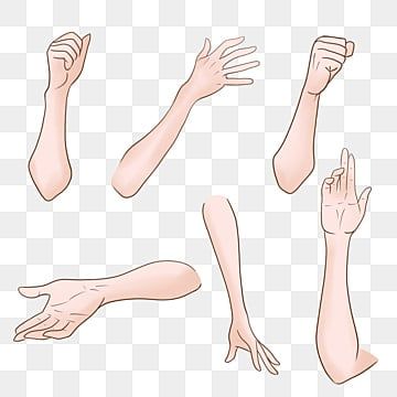 Hand And Arm Drawing Reference, Hand On Arm Reference, Body Posture Reference, Png Vtuber Base, Arm Base Drawing, Hand And Arm Drawing, Anime Arms Reference, Arm Poses Drawing, Png Tuber Base