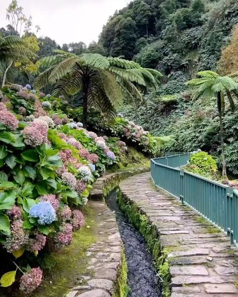 Portugal 🇵🇹 Travel | Hotels | Food | Tips on Instagram: "Indulge in the lush greenery and natural wonders of the Azores, Portugal, with @iloveazores 🪻🌸  Would you add Azores to your bucket list? Tell us in the comments! 🤩  📍: Azores" Acores Portugal Azores Islands, Azores Aesthetic, Antonio Machado, Azores Islands, 2025 Mood, Azores Portugal, The Azores, Travel Journey, Hotel Food