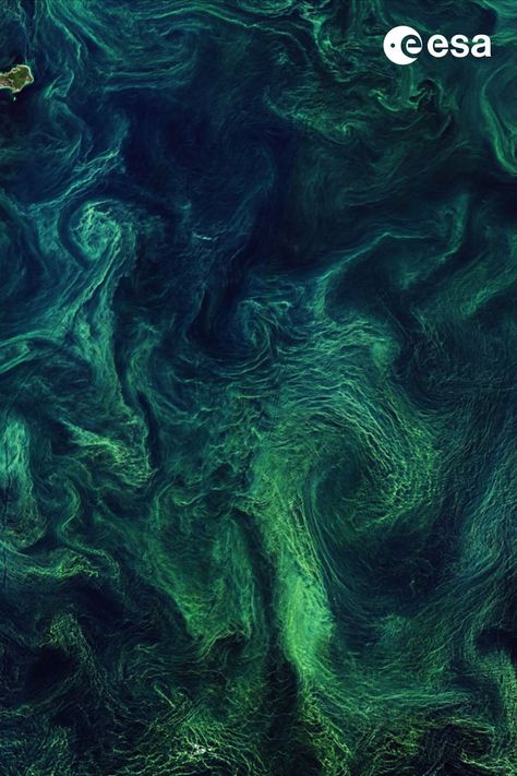 Ocean scenes from space Microscopic Algae, Moodboard Images, Green Inspo, European Space Agency, Marine Plants, Nature Elements, Ocean Day, Aerial Photos, Green Algae