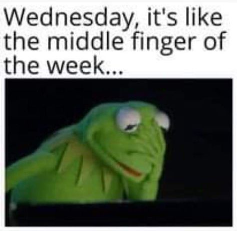 Wednesday Humor Funny Hilarious, Liz Quotes, Night Humor, Wednesday Posts, Wednesday Memes, Frog Friends, Funny Inspiration, Wednesday Humor, Gd Morning