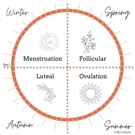 Menstrual Cycle Chart, Menstrual Cycle Phases, Menstruation Cycle, Period Blood, Period Cycle, Woman Health, Womb Healing, Moon Time, Red Tent