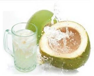 Islam Garis Lurus: Air Kelapa Segar dan Menyehatkan Coconut Water Benefits, Sistem Pencernaan, Program Diet, Air Kelapa, Water Benefits, Tropical Fruits, Honeydew, Coconut Water, Fruits And Vegetables