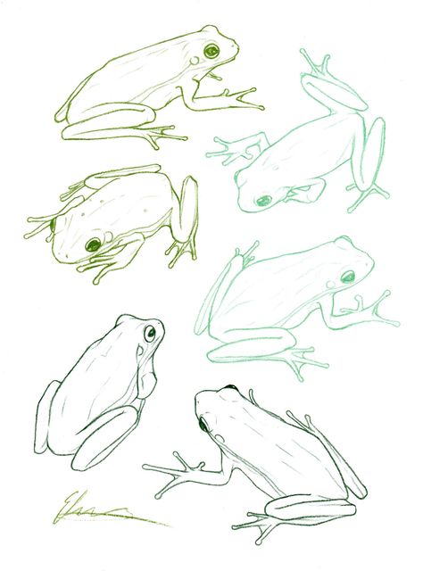 Some refined sketches of green tree frogs that like to hang out on the side of the house. How To Draw Moss, Moss Drawing, Moss Illustration, Frosch Illustration, Frog Sketch, Elizabeth Moss, Frog Illustration, Frog Tattoos, Frog Drawing