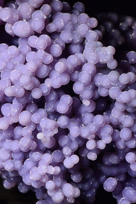 Grape Amethyst | Locality: Mamuju area, Sulawesi Barat Provi… | Flickr Grape Amethyst, U Rock, Grape Agate, Character Board, Nom Nom, Grapes, Close Up, Agate, Amethyst