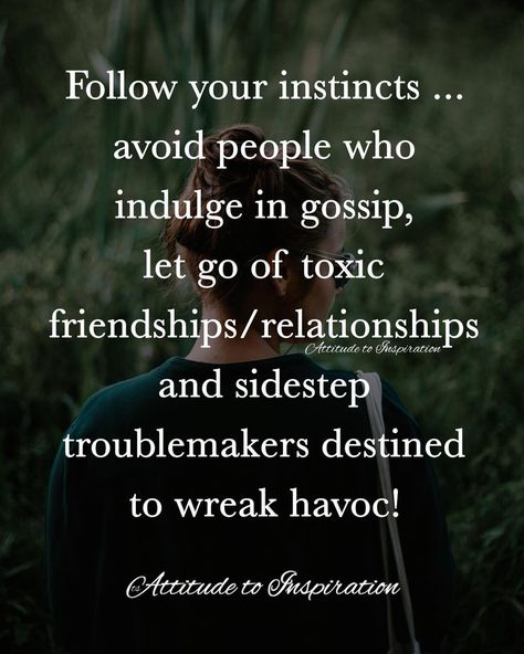 Instagram post by Attitude to Inspiration • Nov 6, 2018 at 4:44am UTC Ignore People, Boundaries Relationships, Follow Your Instincts, Gut Instinct, Gut Feelings, Toxic Friendships, Second Brain, Society Quotes, Avoid People