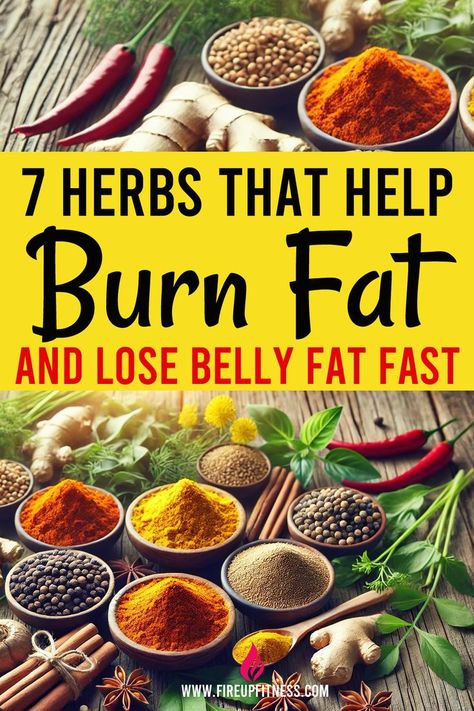 7 Herbs That Help Burn Fat and Lose Belly Fat Fast! 🌿🔥 Food To Burn Belly Fat Meals, Boost Metabolism After 40, Foods That Burn Belly Fat Quickly, Loose Weight Recipes Fat Burning, Diet Plans For Women Fat Burning, Kick Start Metabolism, Best Diet To Lose Belly Fat For Women, Essential Oils For Belly Fat Loss, Ways To Get Rid Of Belly Fat Fast