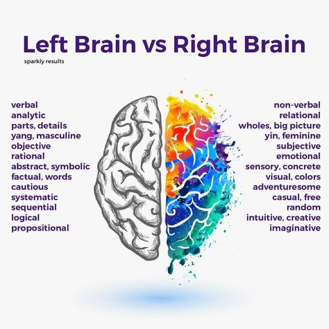 Left Brain Vs Right Brain, Brain Anatomy And Function, Left And Right Brain, Left Brain Right Brain, Psychology Notes, Brain Surgeon, Left Brain, Brain Facts, Brain Anatomy