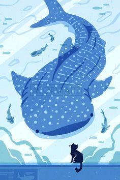 Ocean Drawing, To The Unknown, Shark Pictures, Shark Drawing, Shark Art, Cute Whales, Cute Shark, The Whale, Whale Shark