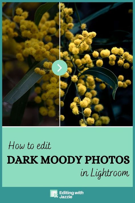 Dark Moody Edit, Lightroom, Photography Moody Photos, Cloud Tutorial, Moody Photography, Dark And Moody, Simple Look, Photo Stands, Rule Of Thirds, Photography Tips For Beginners, Lightroom Editing