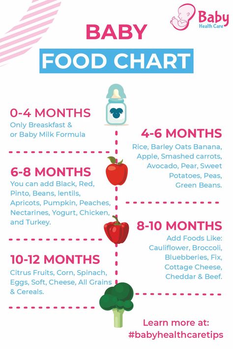 Smashed Carrots, Baby Food Timeline, Baby Food Guide, Spinach Eggs, Baby Led Weaning First Foods, Baby Solid Food, Baby Food Chart, Yogurt Chicken, Easy Baby Food Recipes