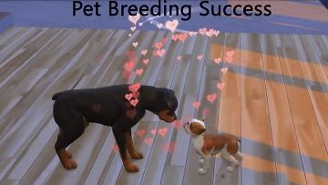 Mod The Sims - Pet Pregnancy Success Sims 4 Pets Mod, Sims 4 Cc Mods, Sims Pets, Sims 4 Studio, Pregnant Dog, Sims 4 Downloads, Sims 4 Update, Pets For Sale, Sims Mods