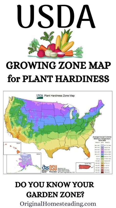 Growing Zones Map, Gardening Zone Map, Planting Zones Map, Medical Garden, Map Of The Usa, Fall Crops, Plant Hardiness Zone Map, Plant Zones, Gardening Zones