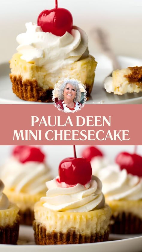 Paula Deen Mini Cheesecake Paula Deen Cheesecake, Rumchata Cheesecake Recipes, 4 Inch Springform Pan Recipes, Mini Cheesecake Toppings, Graham Cracker Cheesecake Recipes, Little Cheesecakes, Mini Graham Cracker Crust Recipes, Cheesecake Bars 9x13, Cheesecake Recipes Mini