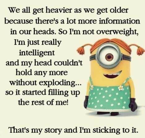 Minion Rush, Minions 1, Funny Minion Pictures, Funny Minion Memes, Funny Today, Minion Jokes, Minions Love, Quirky Humor, A Minion