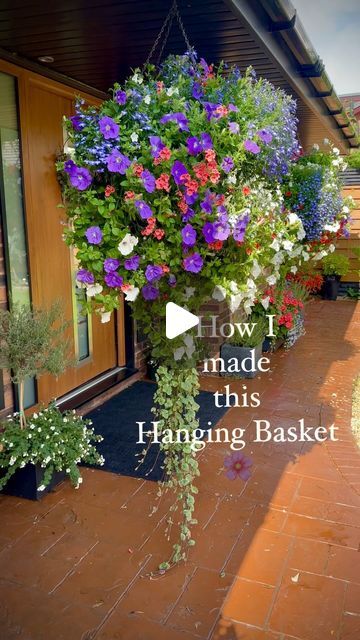 Iron Basket, Trailing Flowers, Hanging Flower Baskets, Plants For Hanging Baskets, Garden Makeover, Trailing Plants, Diy Backyard Landscaping, Greenhouse Gardening, Hanging Flowers