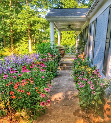 Coneflower Landscaping, Zinnia Garden, Cottage Garden Design, Day Lilies, Casa Exterior, Wildflower Garden, Pollinator Garden, Garden Yard Ideas, Back Door