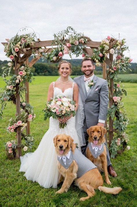 Dog wedding cake