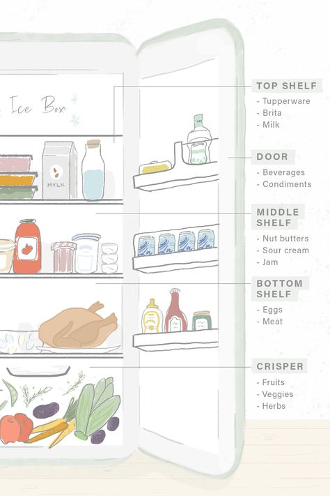 Small Fridge Organization, Mtv Cribs, Small Fridges, Fridge Storage, Kitchen Organisation, Refrigerator Organization, Refrigerator Storage, Kitchen Hacks Organization, Fridge Organization