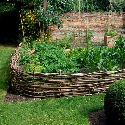 Fence Woven Branches for vegetable garden Cerca Natural, Wattle Fence, Plantarea Legumelor, Natural Fence, Diy Raised Garden, Raised Garden Beds Diy, Have Inspiration, Backyard Fences, Garden Stuff