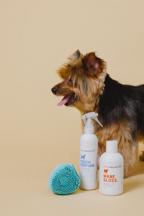 dog with dog shampoo, brush and deodorising spray. Dog Grooming Products, Aloe Oil, Dog Spray, Itchy Skin, Media Content, Dog Grooming, Sensitive Skin, Oatmeal, Essential Oils