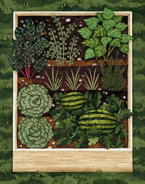 Raised Vegetable Beds, Vegetable Beds, Tattoo Plant, Vegetable Beds Raised, Vegetable Patch, Garden Mural, Vegetable Illustration, Vegetable Garden Raised Beds, Vegetable Bed