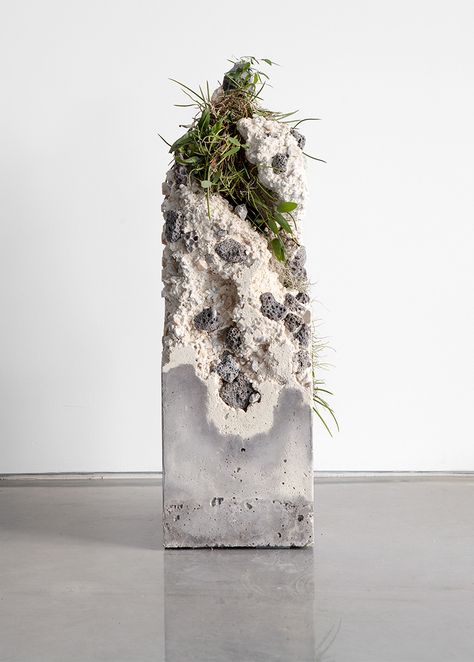 Terraforms 2014 on Behance Jamie North, Moss Growing, Decoration Beton, Concrete Sculpture, Australian Plants, Concrete Art, 수채화 그림, Plant Species, Sculpture Installation