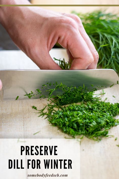 How To Make Dill Paste, Dry Dill How To, Dried Dill Recipes, Dill Paste Recipe, How To Keep Dill Fresh In Fridge, How To Dry Dill Herbs, How To Dry Fresh Dill, Freezing Fresh Dill, Things To Make With Dill