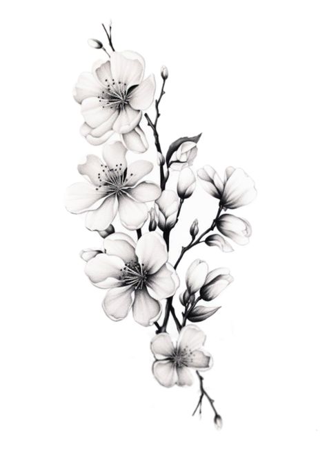 Flower Branch Tattoo Design, Almond Branch Tattoo, Almond Flower Tattoo, Flower Branch Tattoo, Branch Tattoo Design, Almond Branch, Almond Flower, Branch Tattoo, Feminine Tattoos