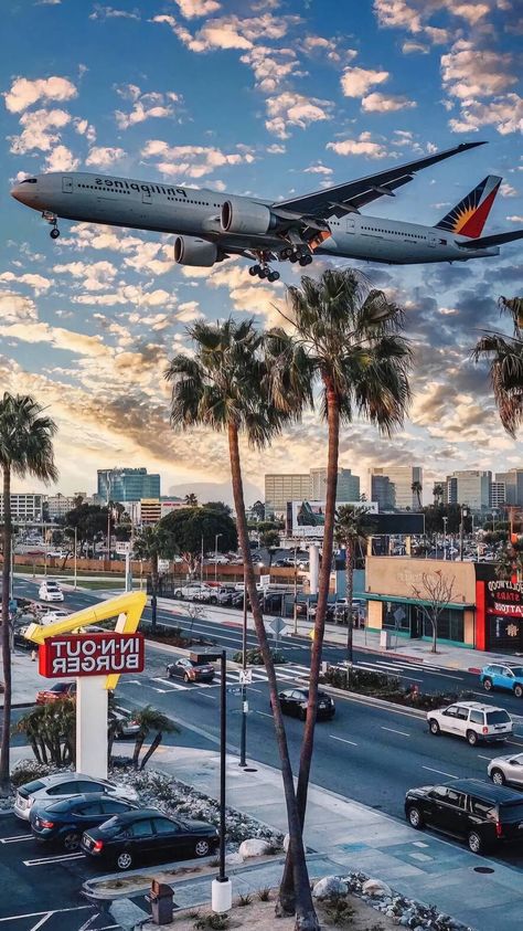 Aeroplane/ Plane landing in city area 8k resolution wallpaper Plane Landing, Wallpaper Aesthetic, Palm Trees, Iphone Wallpaper, Trees, Resolution, Iphone