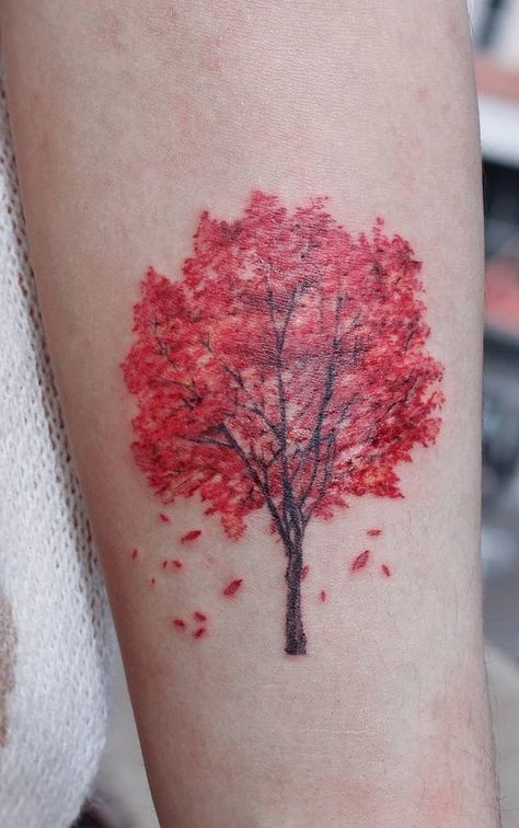 Red Maple Tree Tattoo, Fall Trees Tattoo, Autumn Tree Tattoo, Fall Tree Tattoo, Colorful Tree Tattoo, Red Tree Tattoo, Japanese Maple Tree Tattoo, Maple Tree Tattoo, Tree Tattoo Black