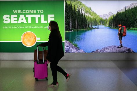 Here's your complete guide to Seattle-Tacoma International Airport Seattle Tacoma International Airport, Seattle Airport, Airport Guide, Carolina Do Norte, Delta Flight, Thanksgiving Travel, Airport Design, American Express Card, Airport Photos