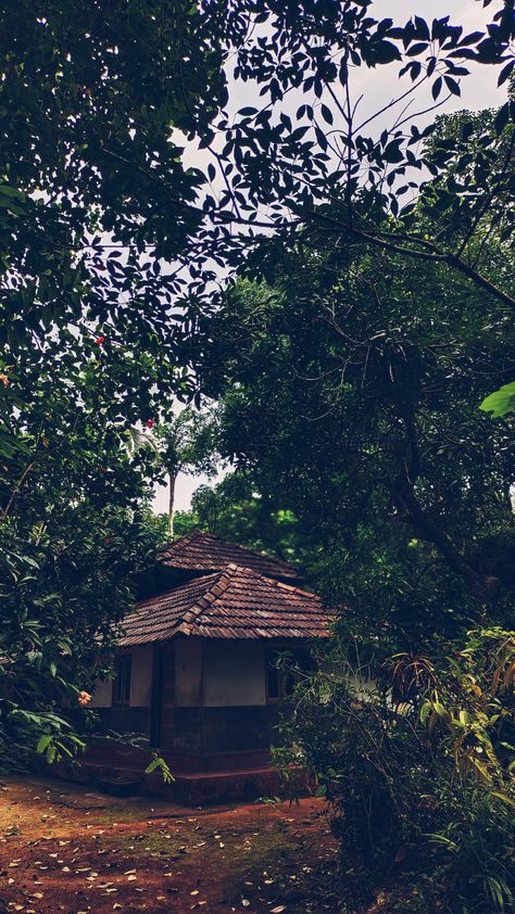 Konkan Nature, Kokan Nature, Aesthetic Kerala, Kerala Village, Kerala Aesthetic, Kerala Traditional House, Rainy Wallpaper, Nature Photography Quotes, Kerala Travel